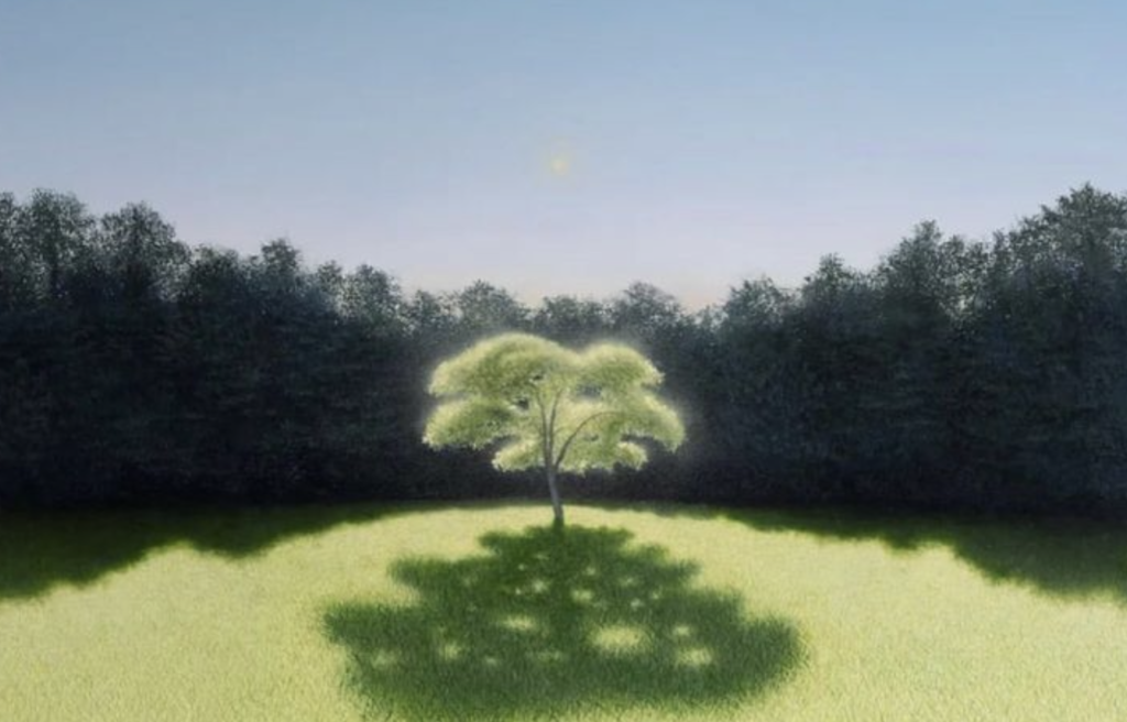 Tree painting by Francesco Pirazzi, ‘Mirror’, 2022, Oil on canvas, 80 x 120cm
